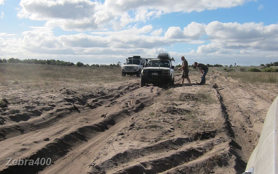 05-Mutton struggles in the soft sand.JPG